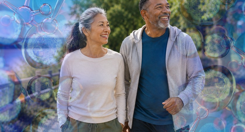 Bridging the Gap Between Lifespan and Healthspan